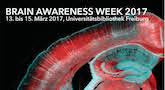 „A Showcase for Neuroscience“ – Brain Awareness Week 2017